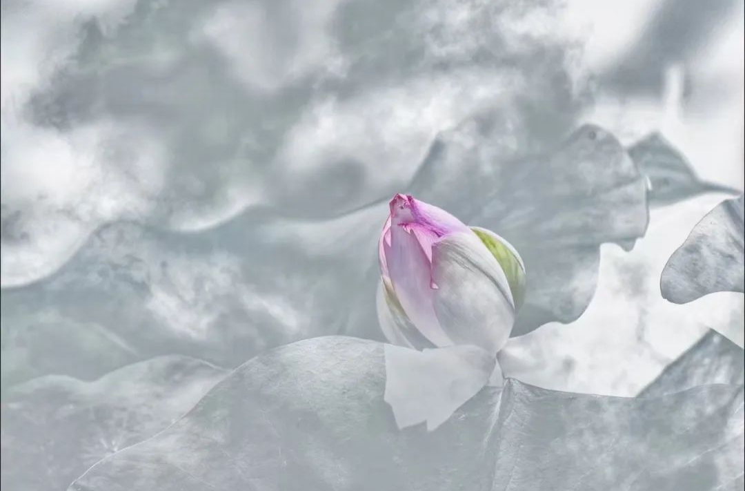 “第六重荷境”：——对话摄影艺术家熊汉泉