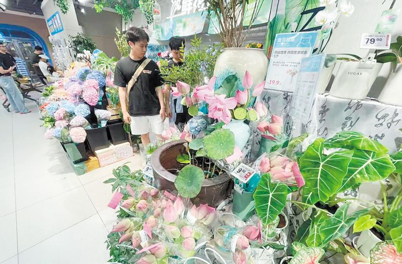 “荷”其浪漫，中式美学带火夏日消费