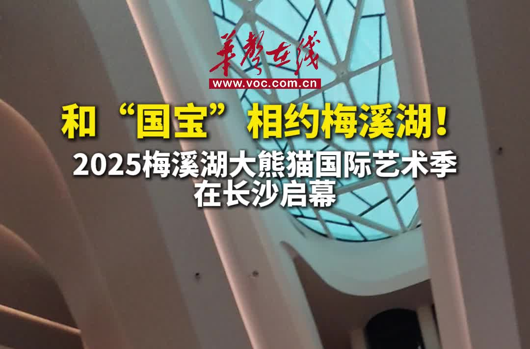 和國寶相約一“夏”！梅溪湖大熊貓國際藝術(shù)季在長沙啟幕