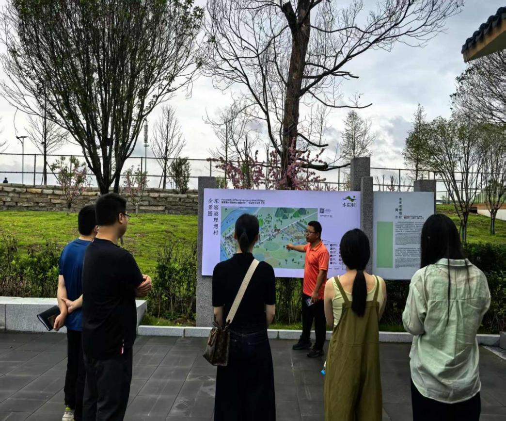 南托街道“青藍(lán)工程”第三期成果匯報會召開 青年干部深耕基層顯擔(dān)當(dāng)