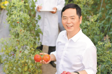 黄三文：从农垦子弟到蔬菜育种领跑者