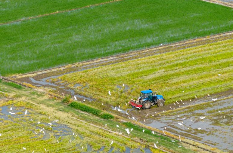 Chinese villagers busy with farm work