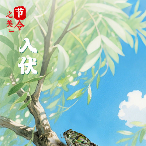 连续10年都是40天的纪录被终结！今年“三伏”30天！