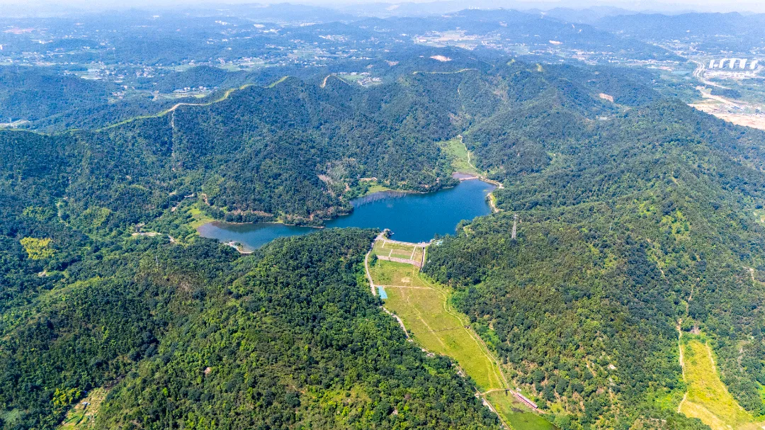 DJI_20250716101941_0014_D 拷贝.jpg