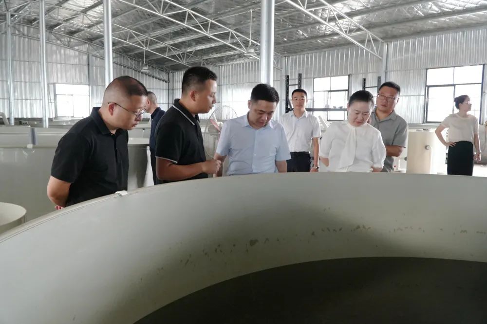 西洞庭管理区全面巩固拓展脱贫攻坚成果同乡村振兴有效衔接工作