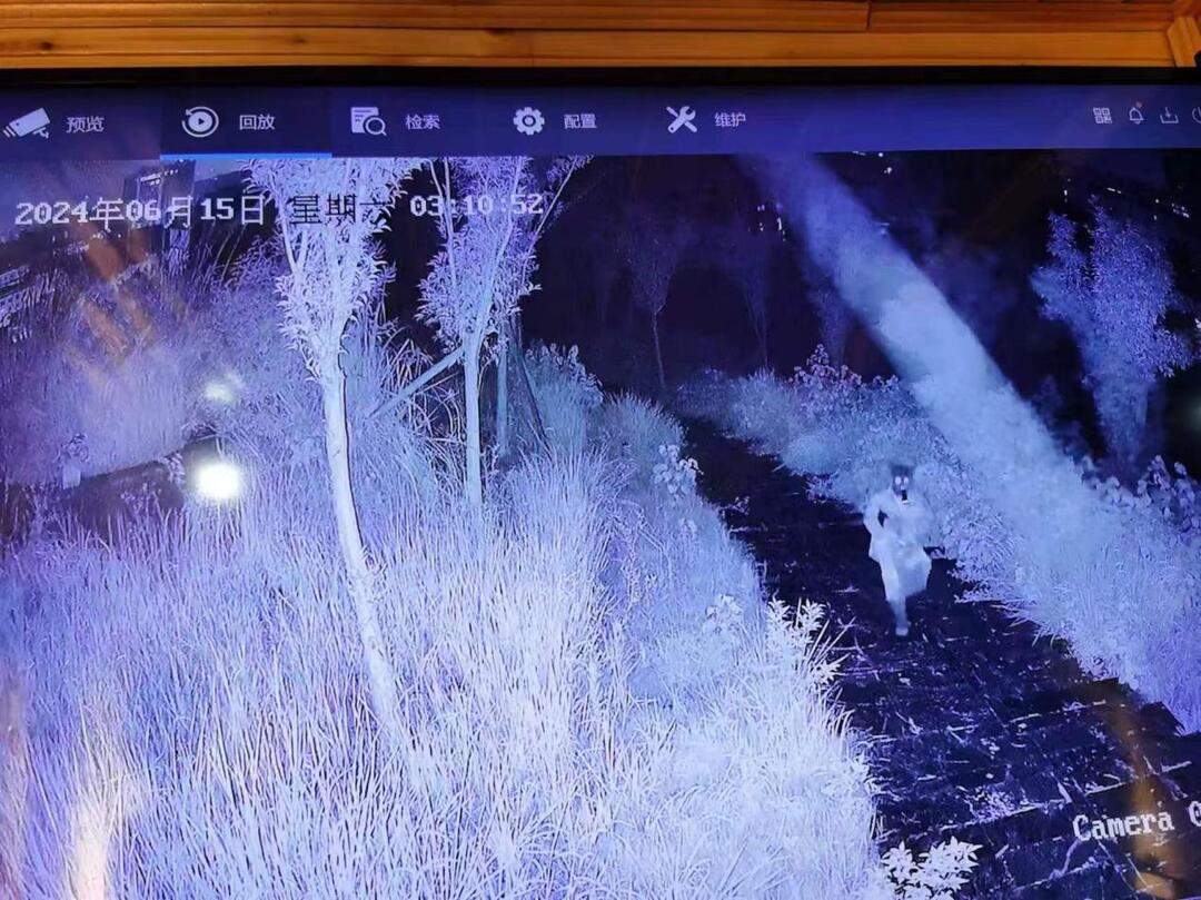 科技賦能 隆回警方揪出“雨夜魅影”
