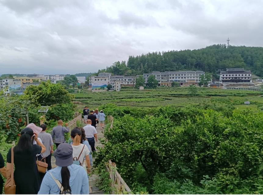 湘西州“百名记者百村百企行”启动