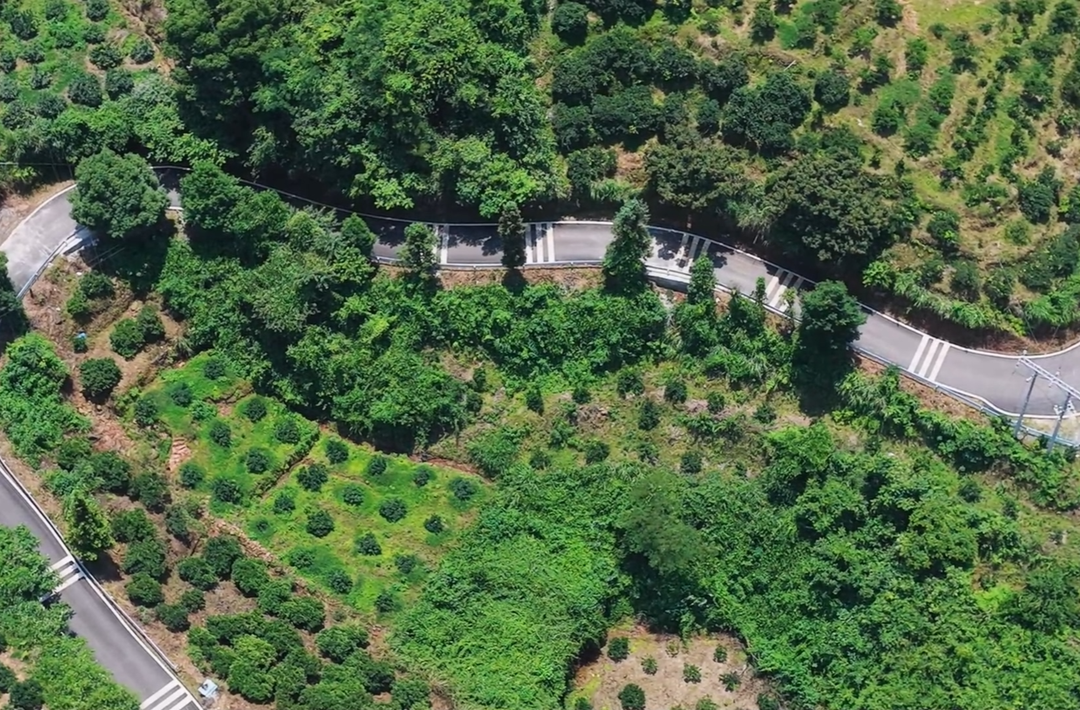 麻阳“四好农村路”成“引线” 助力乡村旅游升温
