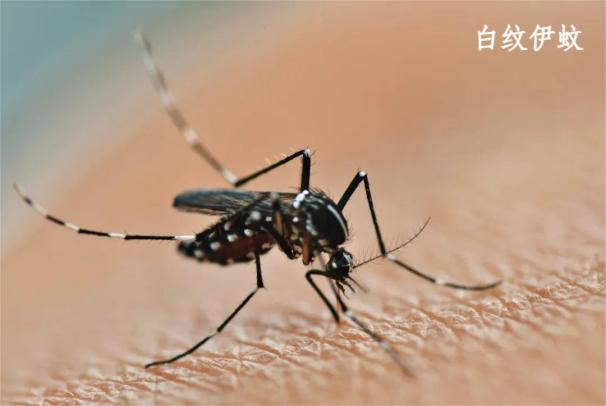 湖南疾控发布重要提醒