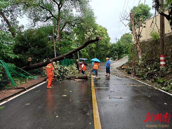 洪江区公路：紧急清理“拦路虎”