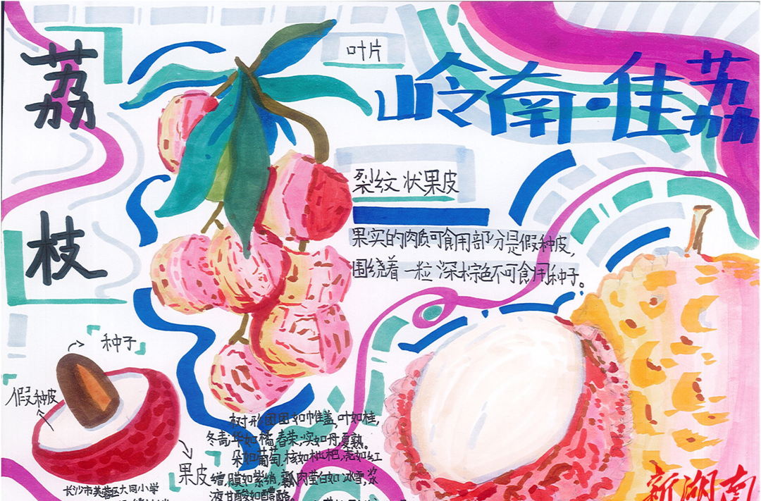 节气湖南·物候|大暑：赤日骋怀 恣意飞扬