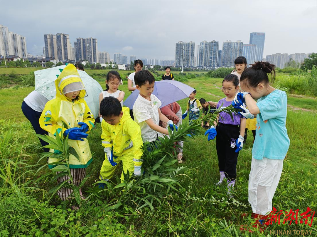 長(zhǎng)沙岳麓街道：黨建引領(lǐng)聚合力 共繪綠色新岳麓
