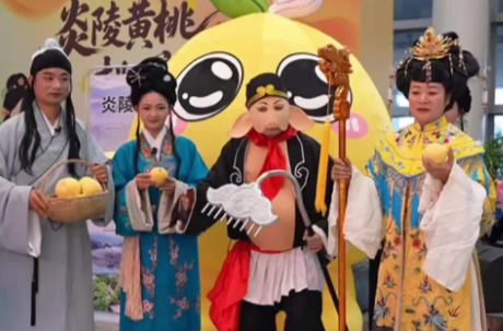 双语湖南|炎陵黄桃上市，向海内外旅客递上一张“香甜名片”