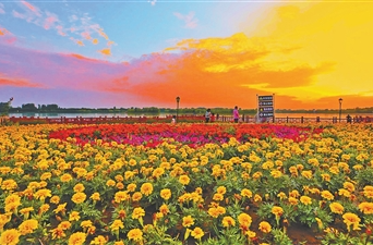 康养旅居，“慢游”撬动大市场