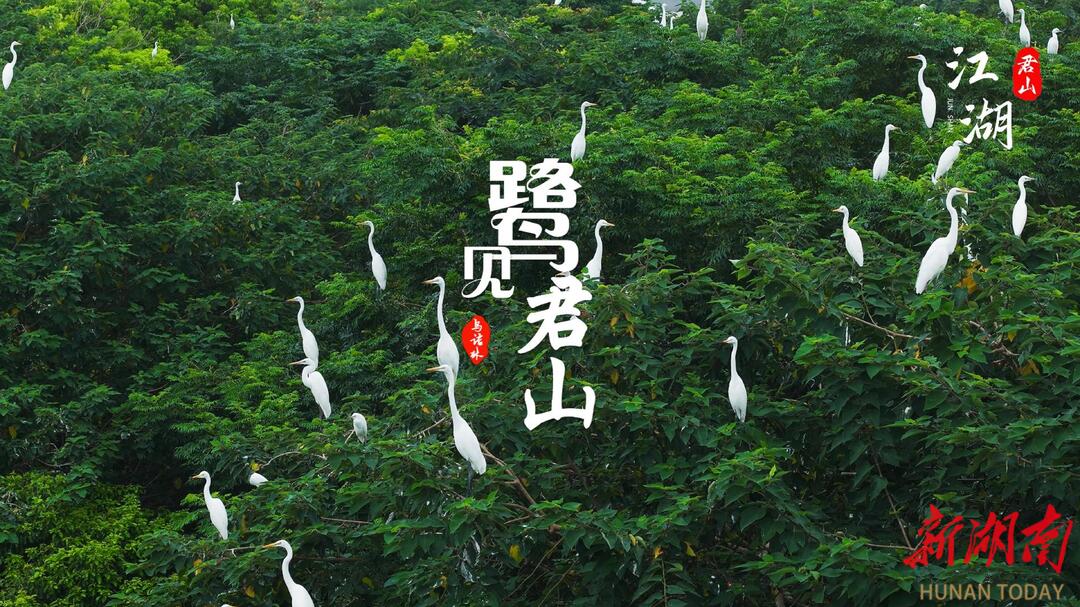 君山鳴翠羽，白鷺寫云章