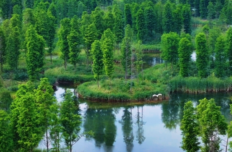 大湖新记｜大泽湖，凭什么崛起为长沙的理想之城？