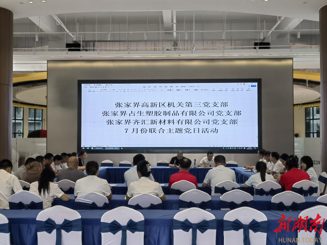 张家界高新区机关三支部联合企业开展主题党日活动