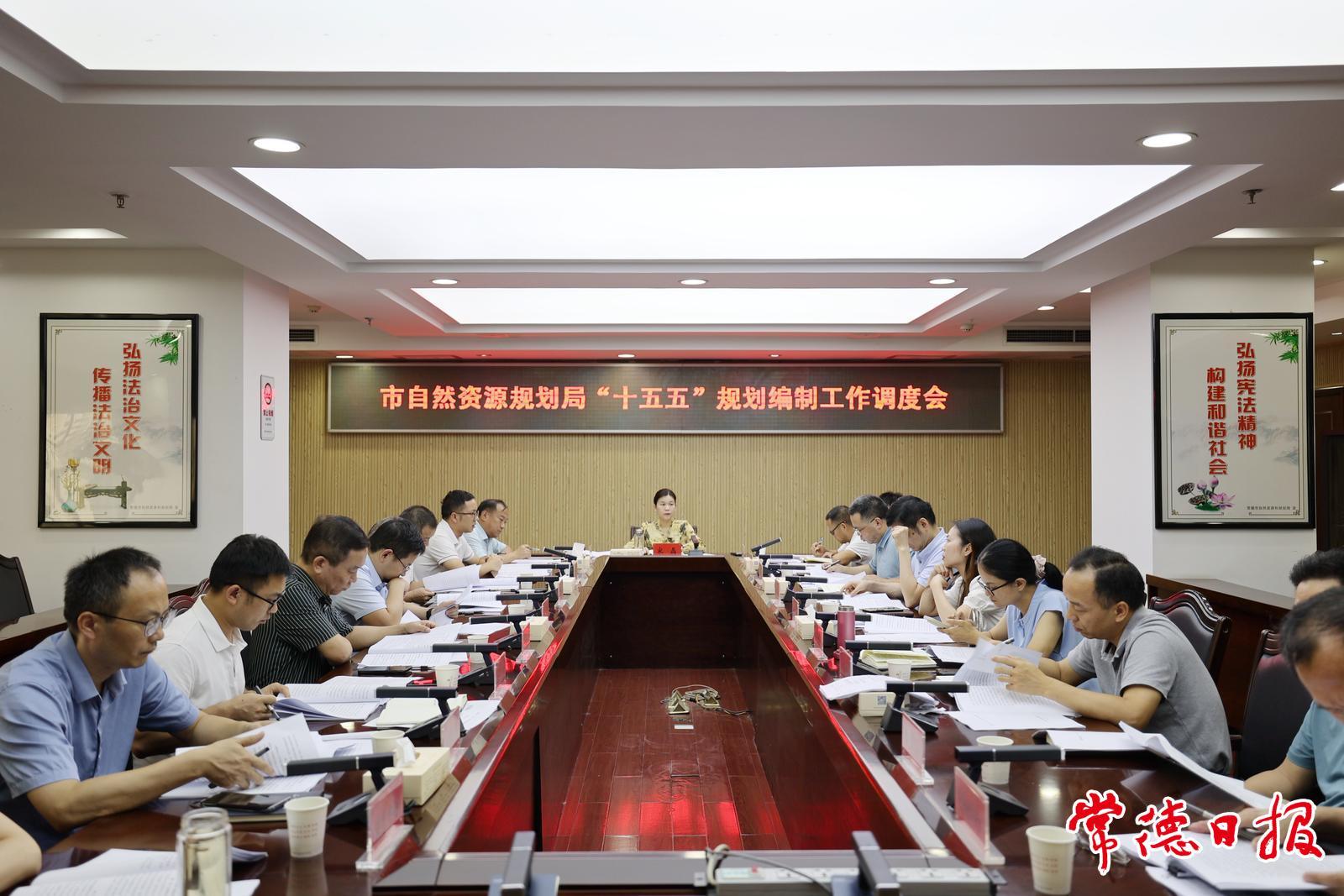 常德市“十五五”自然资源规划编制工作调度会召开