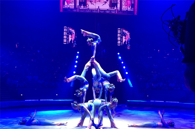 Hunan Acrobatic Art Theatre Wins Bronze Idol Award at World Circus Art Festival 'IDOL-2025'