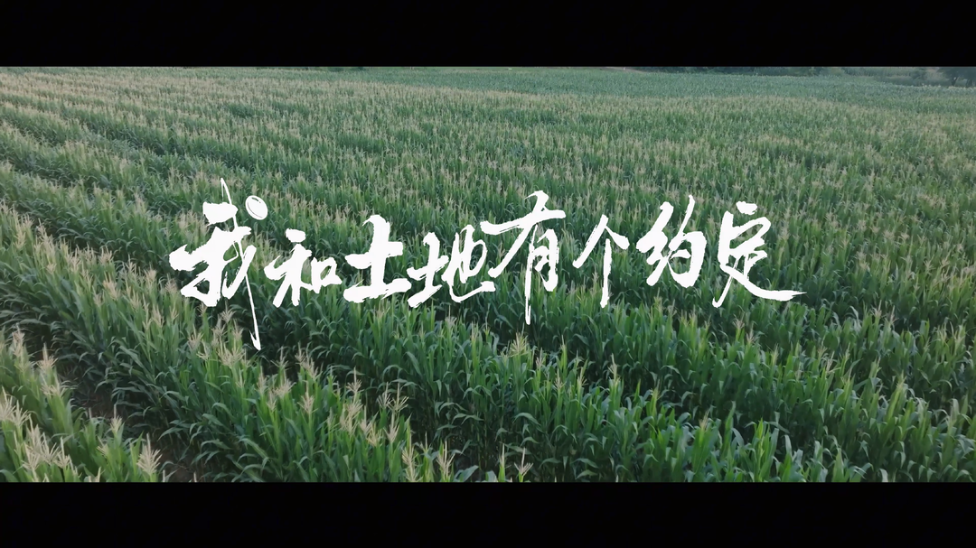 如果有机会，你愿意为了脚下的这片土地做点什么？
