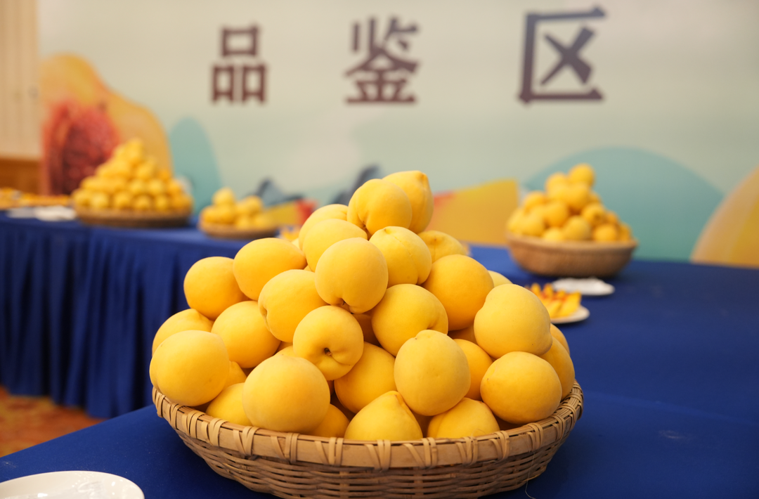一直被模仿，從未被超越！8.9萬(wàn)噸炎陵黃桃甜蜜“來(lái)襲”
