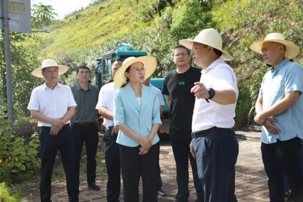 湖南雁峰“6·25為民服務(wù)日”：讓民主落地 讓民生暖心
