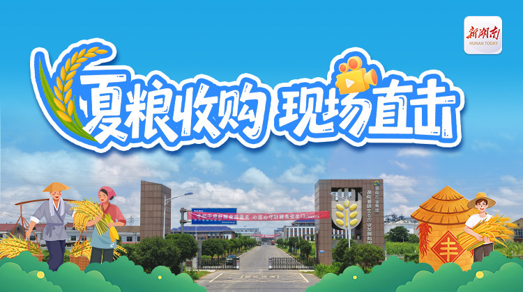 圖文直播｜夏糧收購(gòu)現(xiàn)場(chǎng)直擊