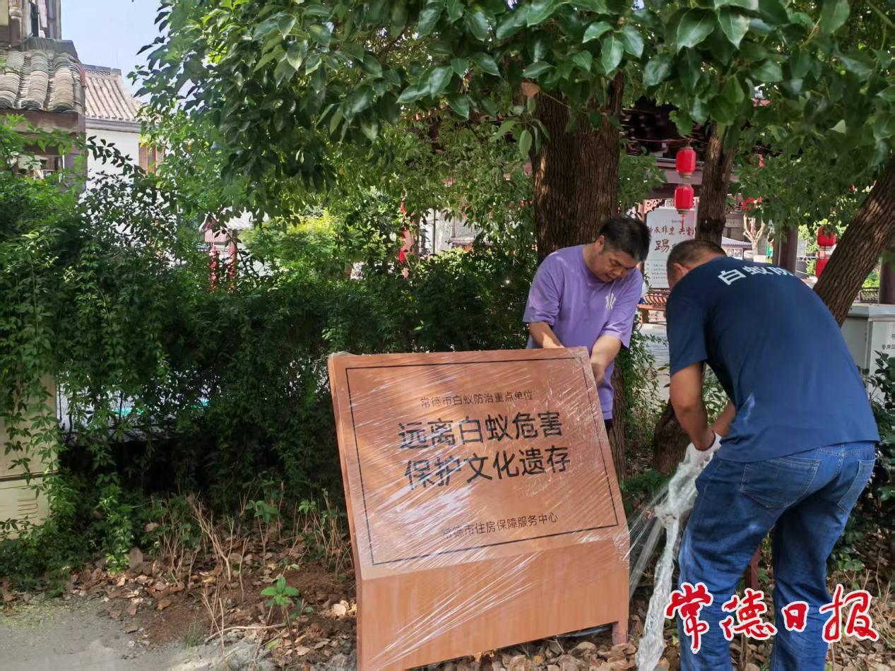 白蚁防治“挂牌上岗” 保护常德红色资源