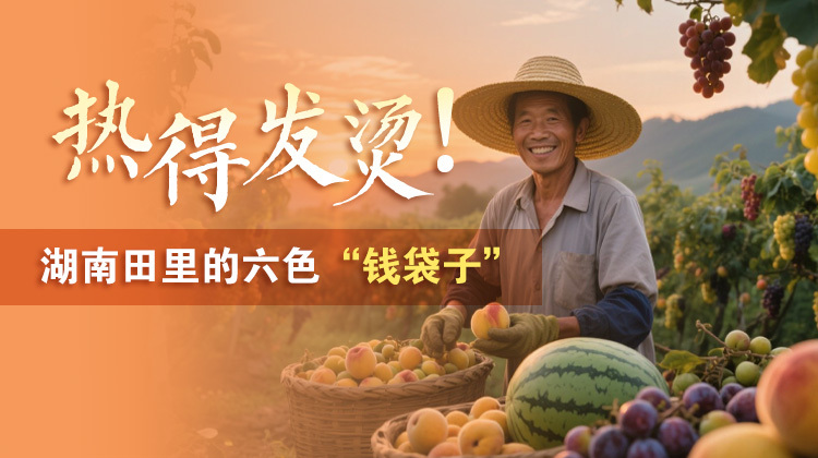 海报 | 热得发烫！湖南田里的六色“钱袋子”
