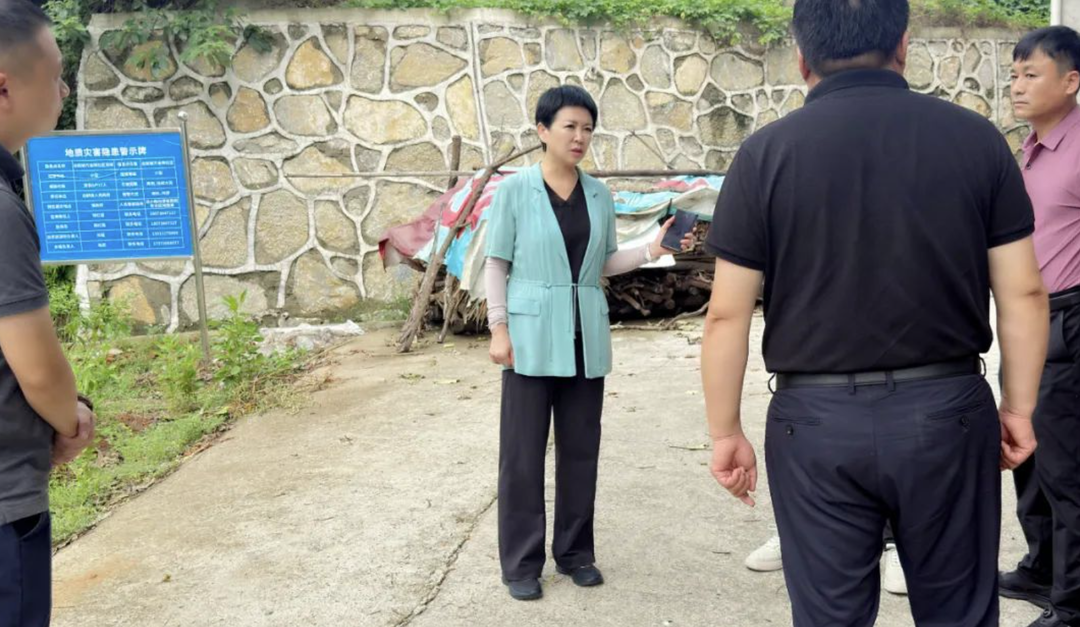 柳叶湖：伍彩霞赴白鹤镇调研地灾防治、项目建设与医卫工作并开展慰问