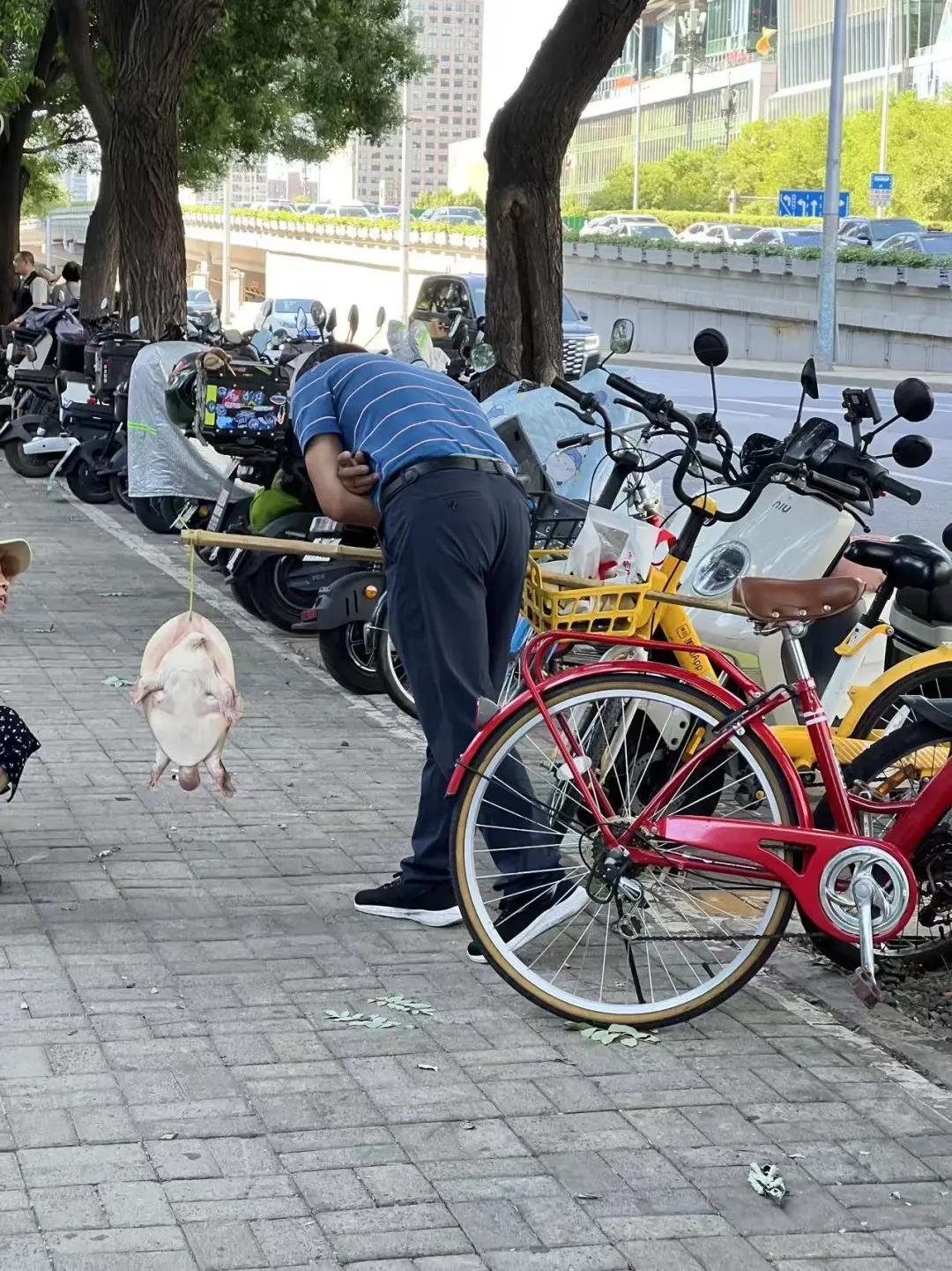 多地街头贩卖“野生鳖”，专家急呼：不能吃！放生危害更大！