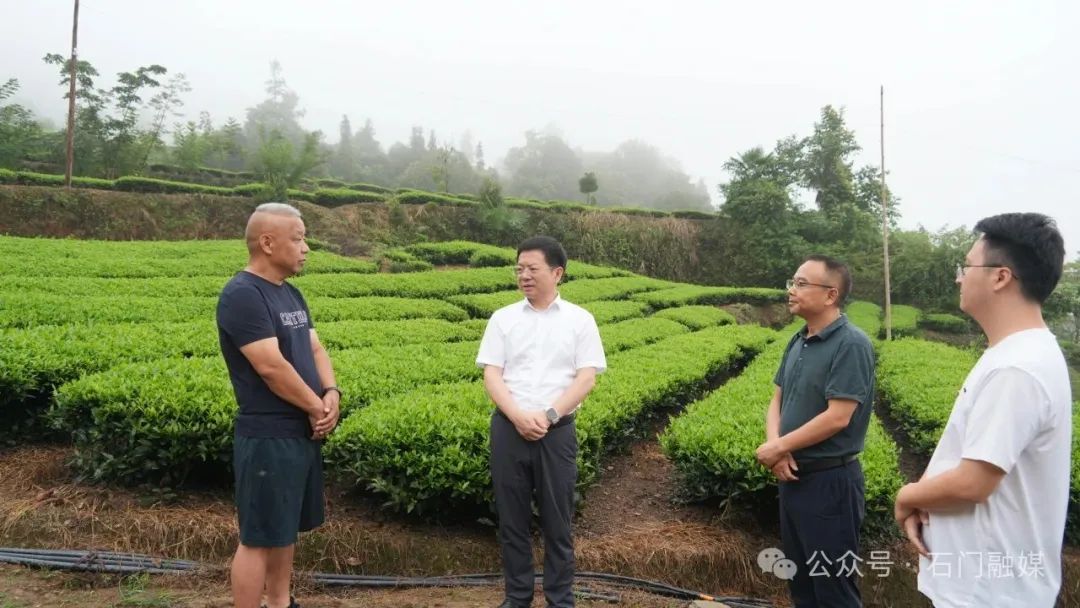 石门：吴兴国督导巩固拓展脱贫攻坚成果同乡村振兴有效衔接工作