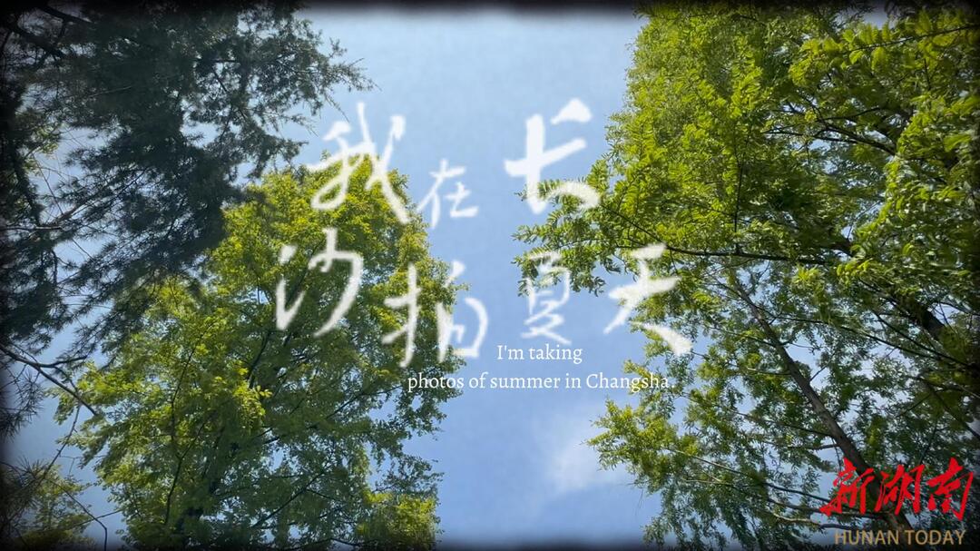 我在長沙拍夏天 ① | 探尋長沙人眼里的荷韻故事