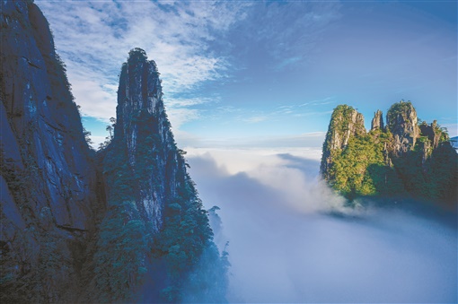 赵燕飞：“善解人意”有莽山