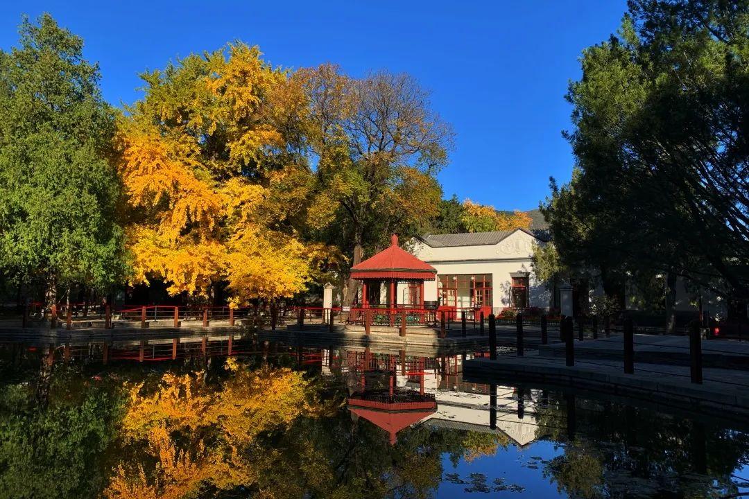 暑期北京市屬公園愛(ài)國(guó)主義教育基地定制服務(wù)一表收藏