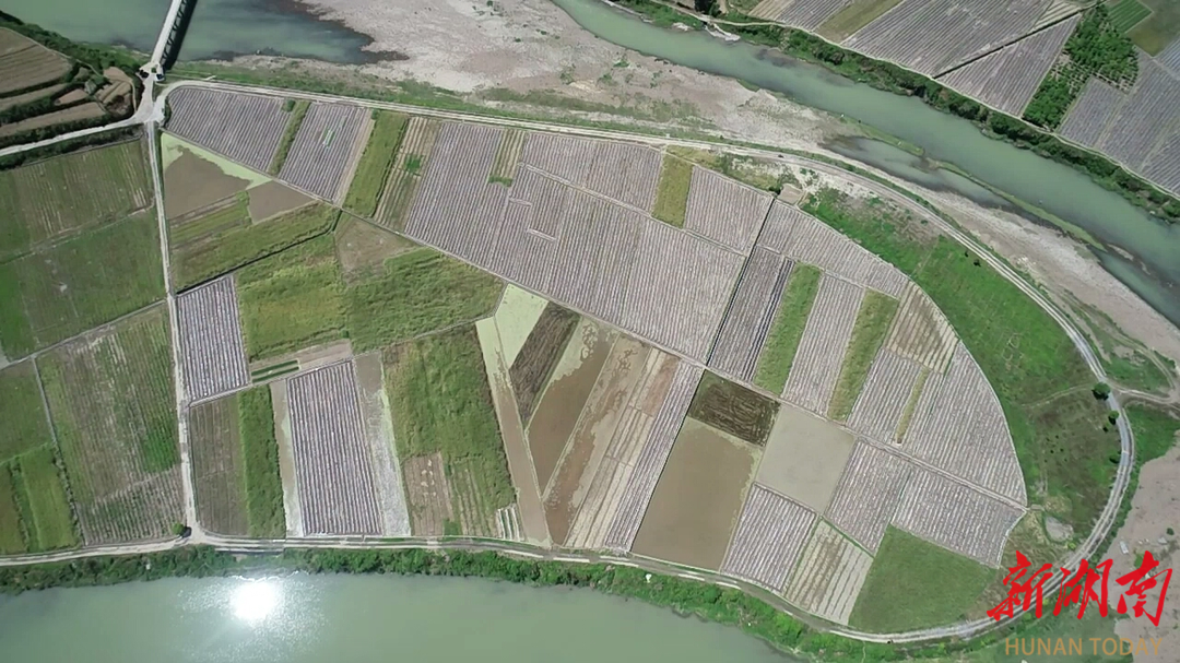 永順縣：高標(biāo)準(zhǔn)農(nóng)田建設(shè)繪就振興“豐”景