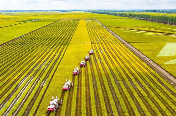 African Agricultural Products Accelerate Entry into Hunan Market