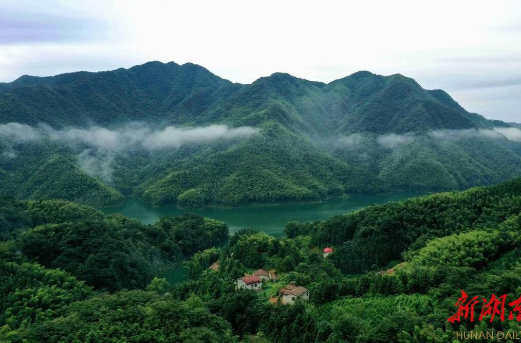 臨湘市龍窖山村暑期經濟“熱”力十足