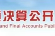 第15年“晒账本”！中央部门集中公开2024年度部门决算