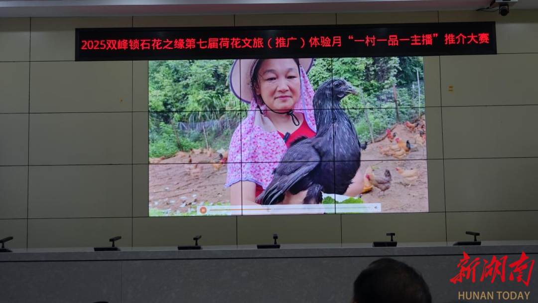 “荷莲”结缘 特产“牵线”，锁石镇举行“一村一品一主播”大赛