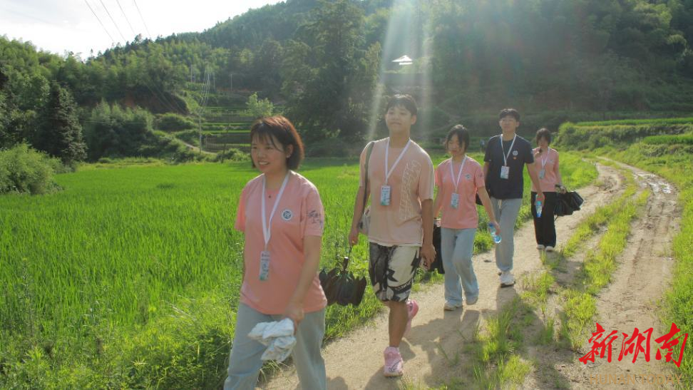 攜專業(yè)賦能鄉(xiāng)村振興新征程