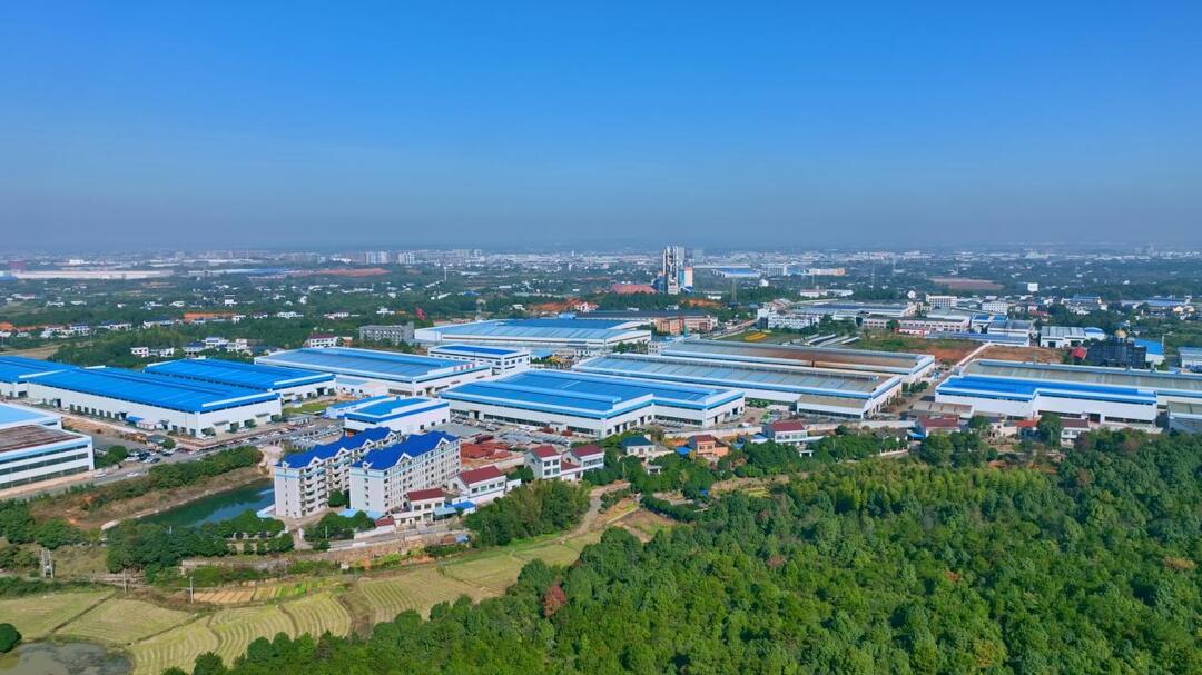 首登中国乡镇综合竞争力中部百强！看江背镇以跃升之势跑出“江背加速度”