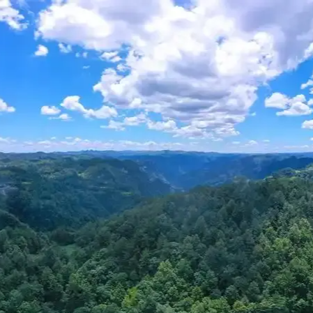 三湘时评丨让好生态带来真实惠