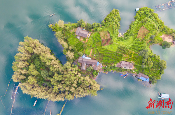 大湖新记｜栖凤湖畔百业兴@湖南日报