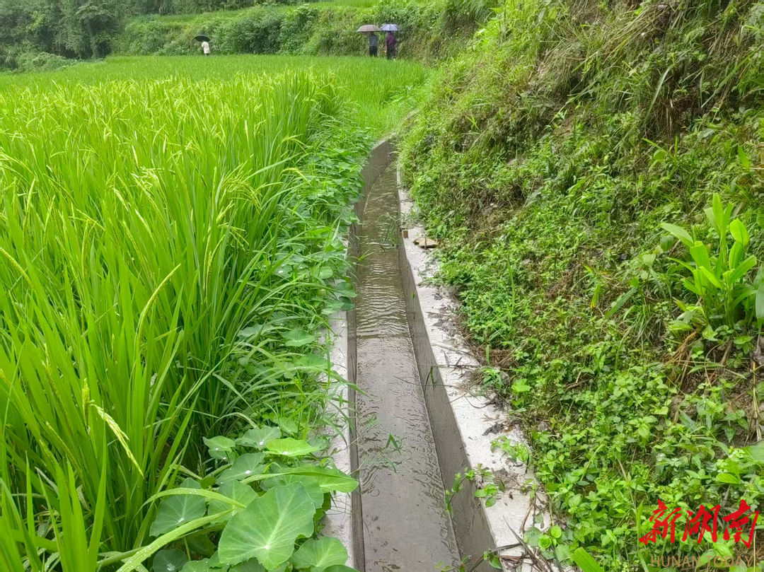 解民忧、惠民生的“及时雨”，麻阳建设小型农田水利设施