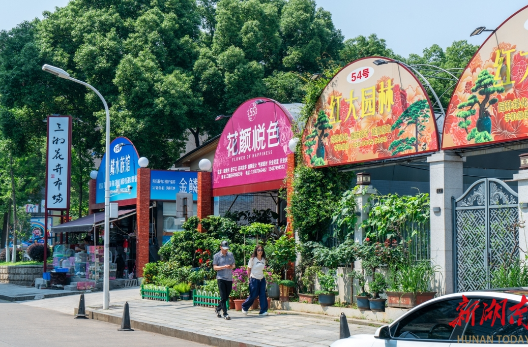花卉绿植、观赏鱼鸟应有尽有！芙蓉区湘湖街道的三湘花卉市场值得一去