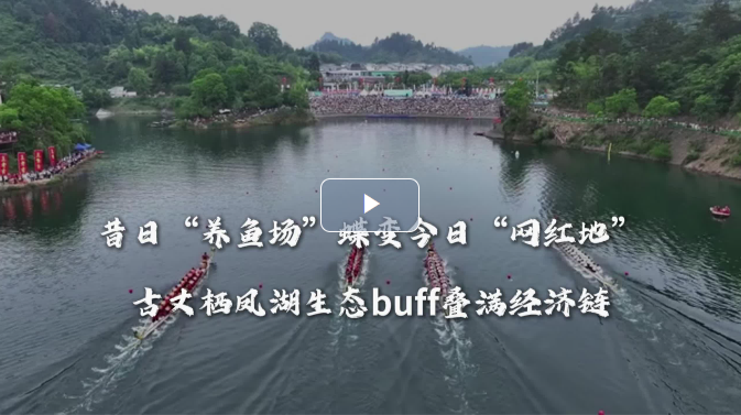 大湖新記｜棲鳳湖畔百業(yè)興@湖南日?qǐng)?bào)