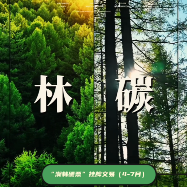 湘林碳票换金记