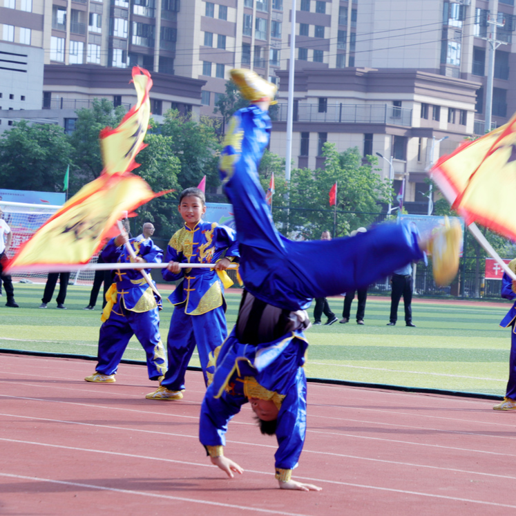 武冈：武术与足球联袂亮相省中学生运动会