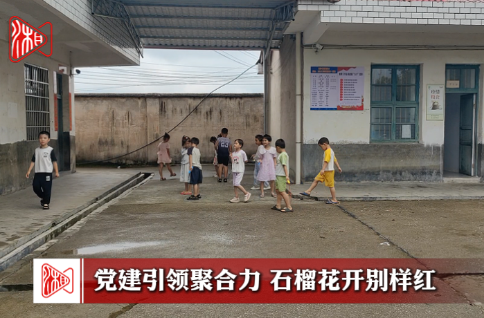 党建引领聚合力 石榴花开别样红——洞口县高沙镇石榴村以基层治理赋能乡村振兴